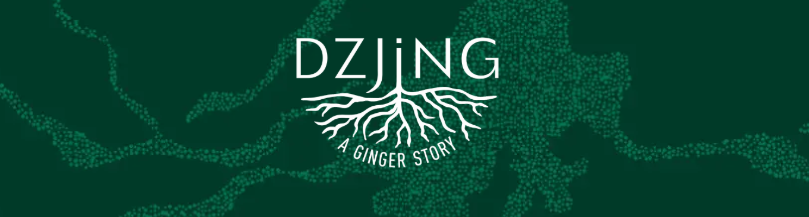 dzjing